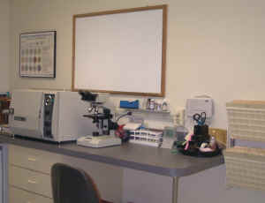 Lab Area